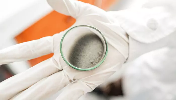 Mold Testing Remediation