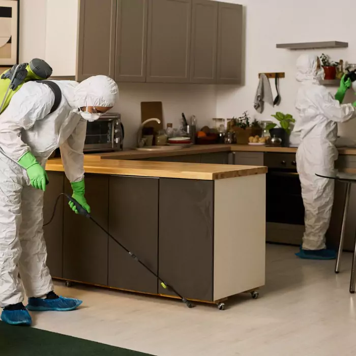 Remediation Services Champaign Il