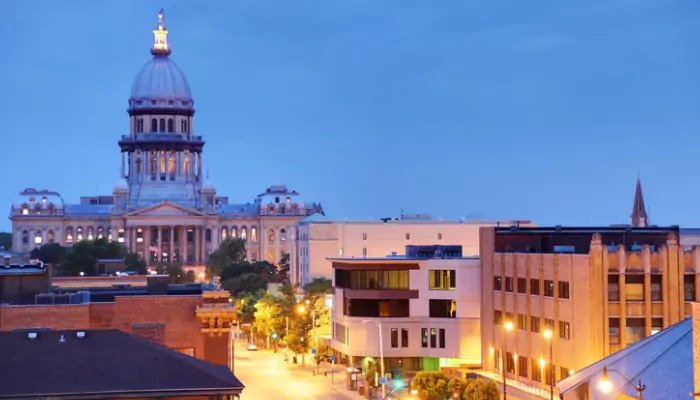 Remediation Services Springfield Il