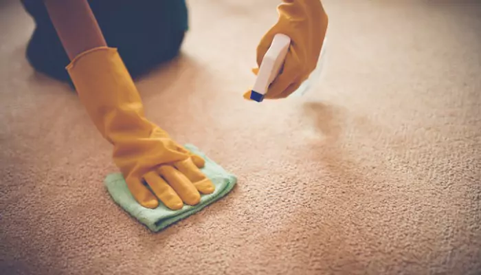 Carpet Cleaning